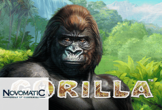 Gorilla